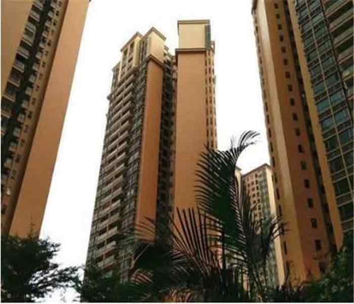 沙井大型村委統建樓:天水豪庭