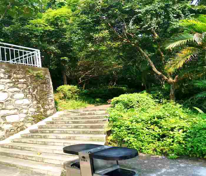 深圳大浪小產權房,上合花園里