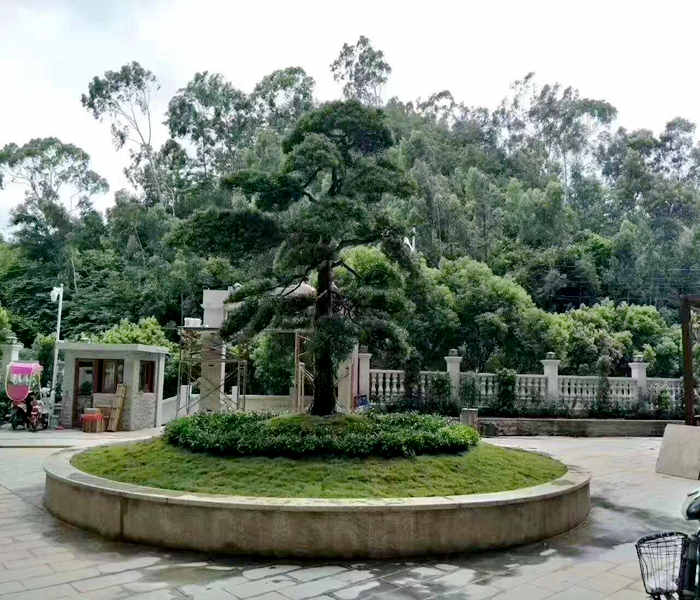 長安小產(chǎn)權(quán)價格