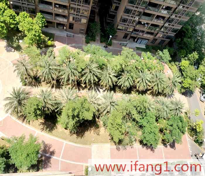 <a href=/dalingshan/ target=_blank class=infotextkey>松山湖小產權房</a>