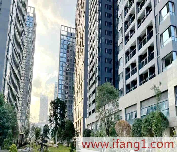 龍崗寶龍小產權房